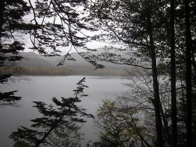 c0234938_17252212.jpg