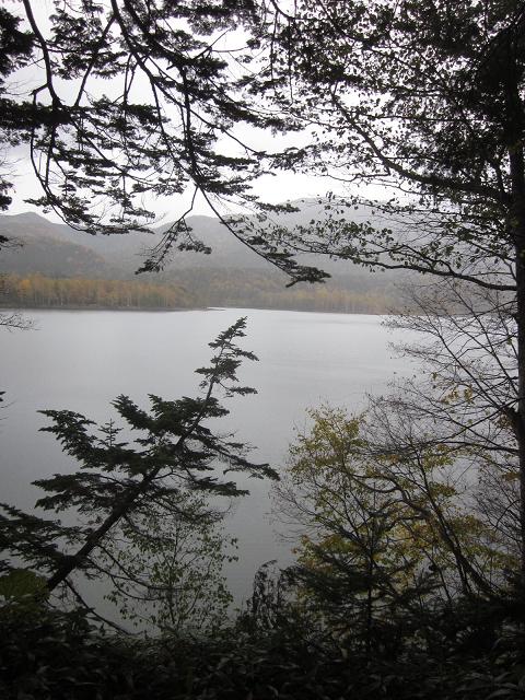c0234938_17255872.jpg