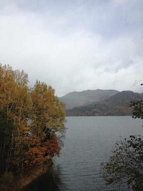 c0234938_1729357.jpg