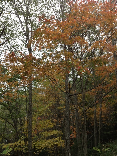 c0234938_17302893.jpg