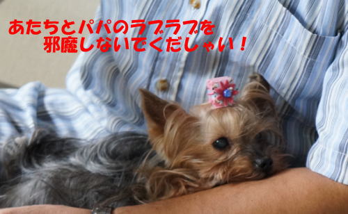 b0001440_1533060.jpg