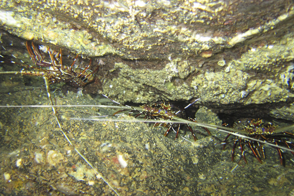 b0062363_213384.jpg