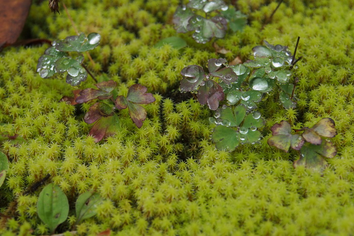 e0307372_23204090.jpg