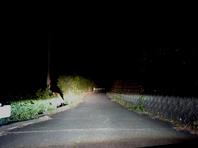 e0004173_953184.jpg