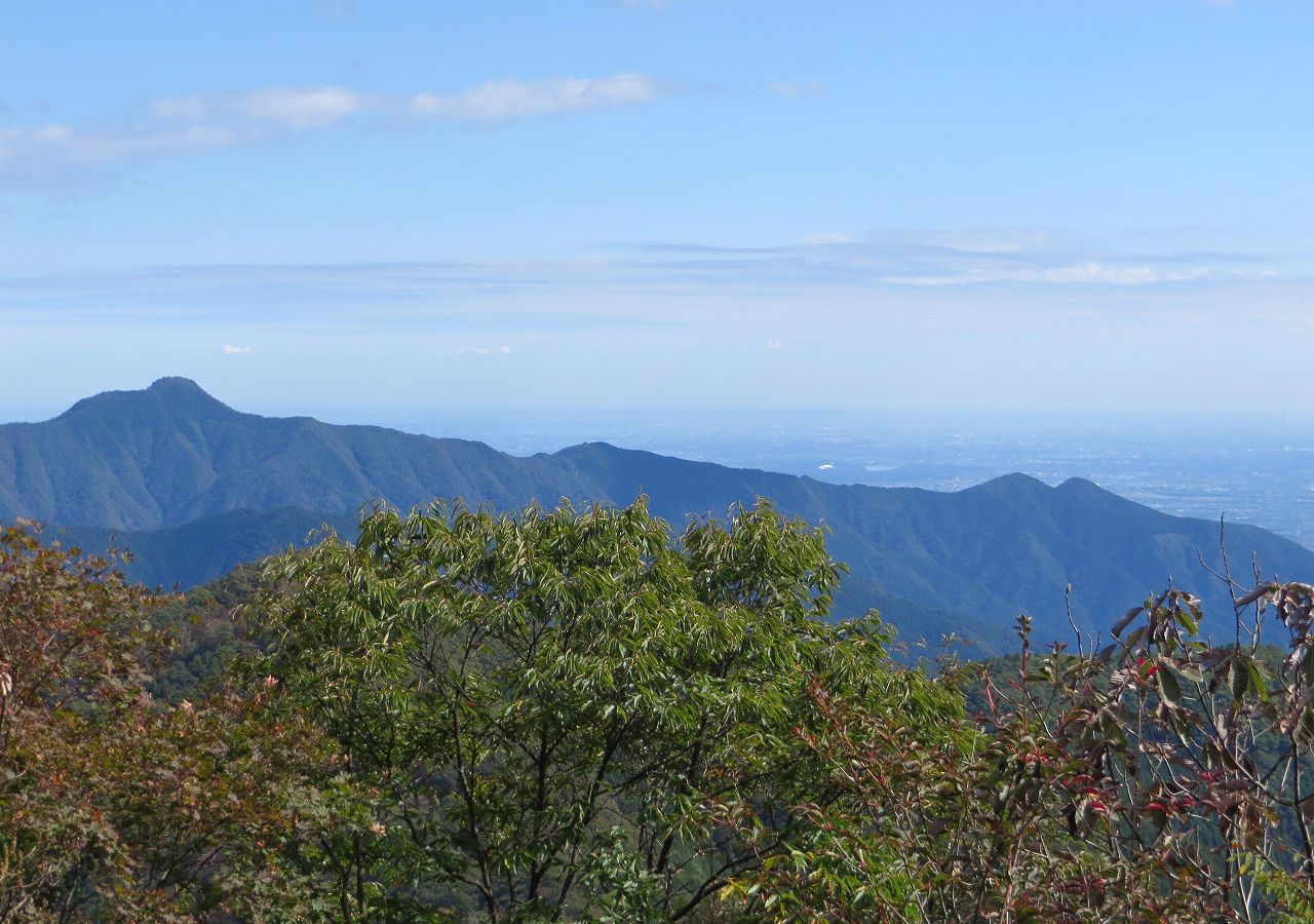 d0328977_9564398.jpg