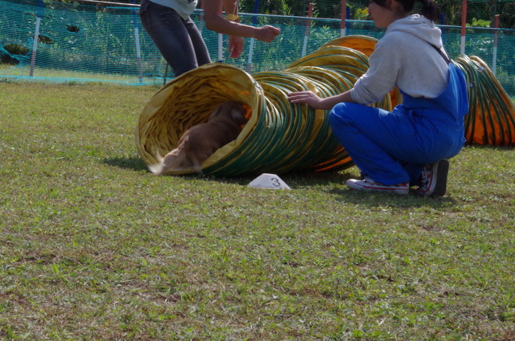 d0098295_22472299.jpg