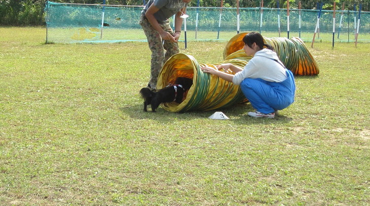 d0098295_2301061.jpg