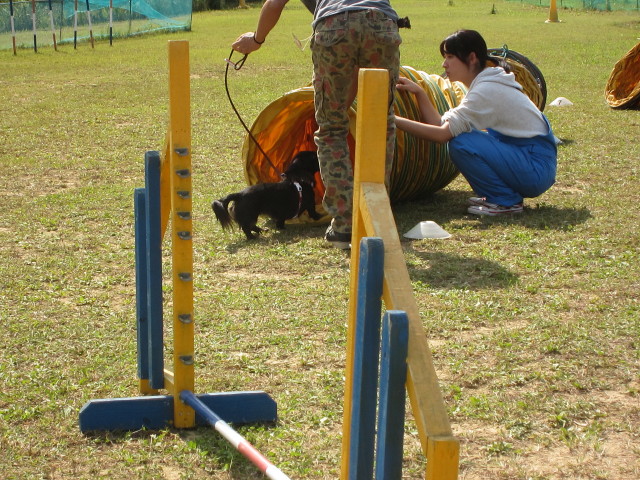 d0098295_2353382.jpg