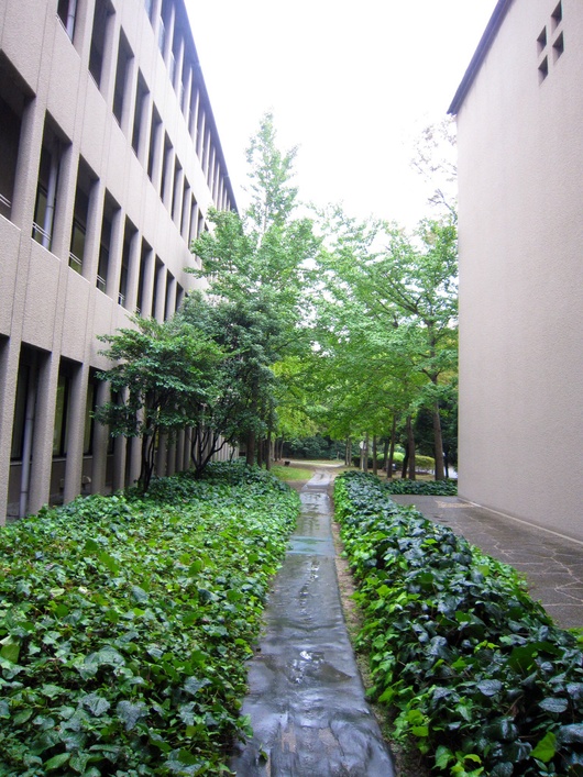 e0309496_8414460.jpg