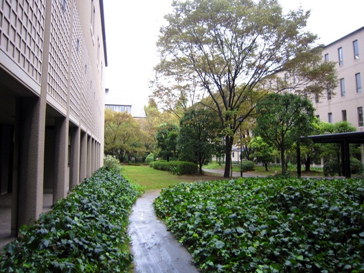 e0309496_842576.jpg