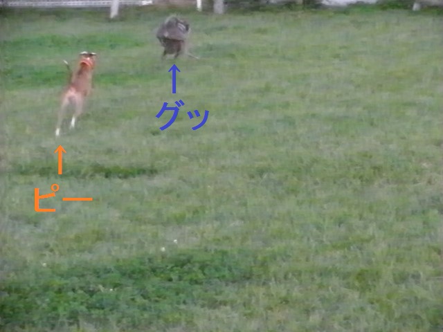 a0284997_20372998.jpg