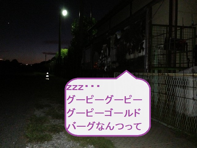 a0284997_20463087.jpg