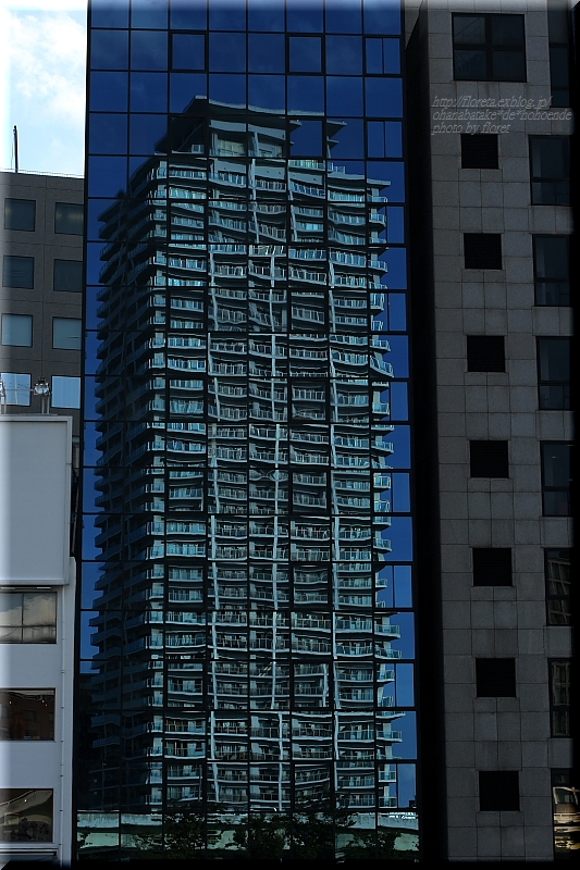 f0083400_2246926.jpg