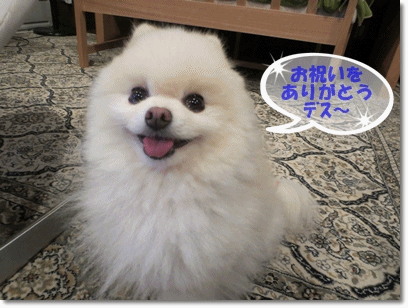 b0167519_151986.gif