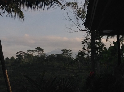c0025422_751317.jpg