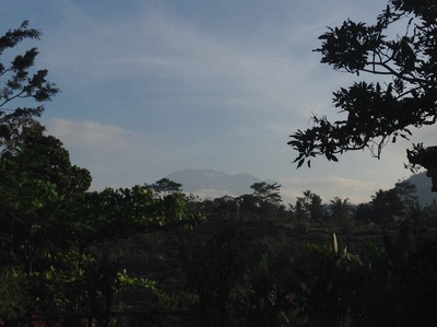 c0025422_753175.jpg
