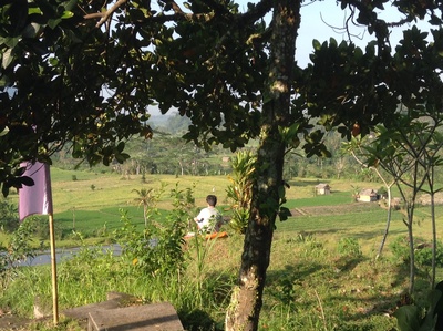 c0025422_758270.jpg