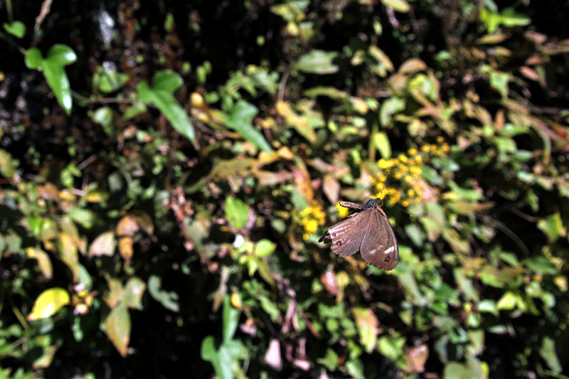 d0054625_221660.jpg
