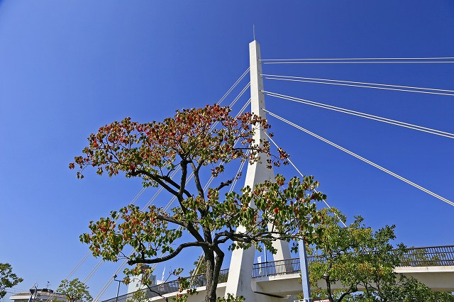 a0242438_14434193.jpg