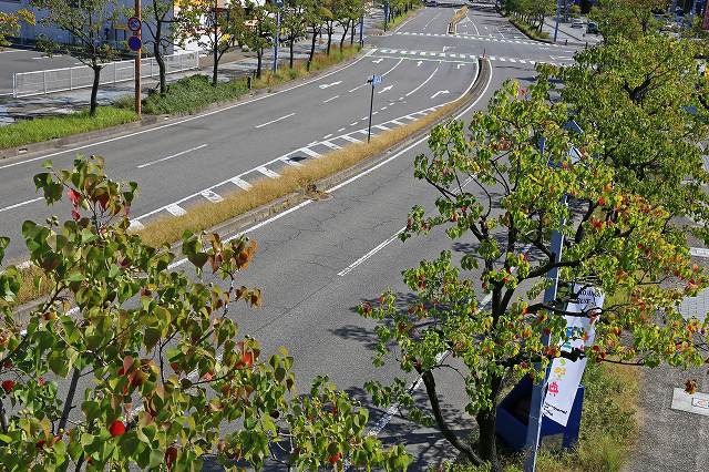 a0242438_14445026.jpg