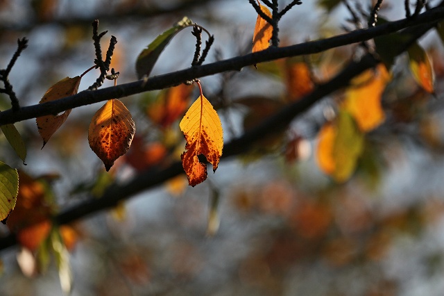 a0242438_16435841.jpg