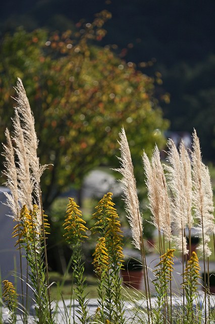 a0242438_164413100.jpg