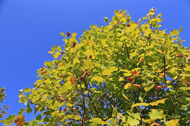 a0242438_1645919.jpg