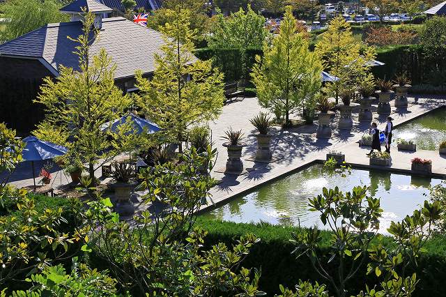 a0242438_16461888.jpg