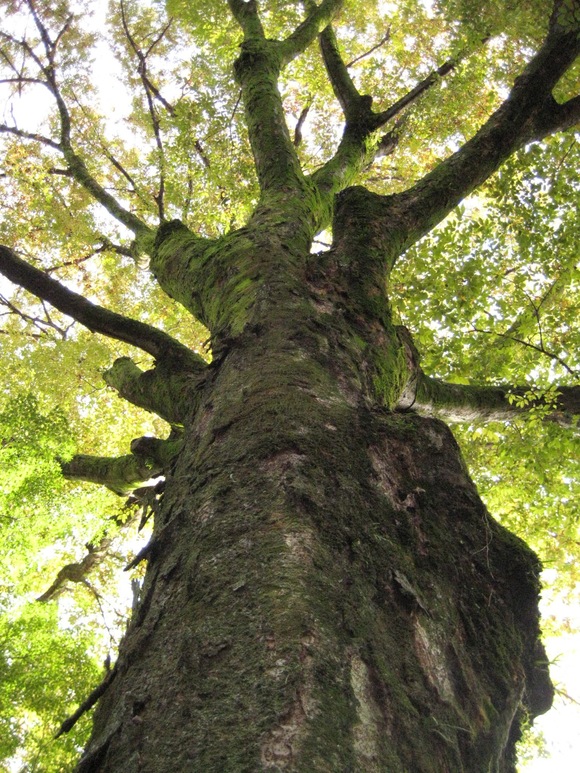 f0247039_22153685.jpg
