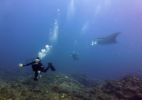 f0014842_17411116.jpg