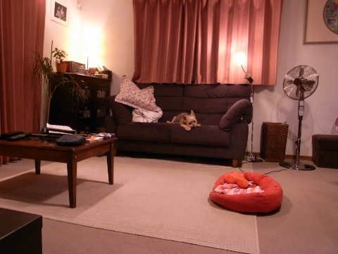 e0138549_1030134.jpg