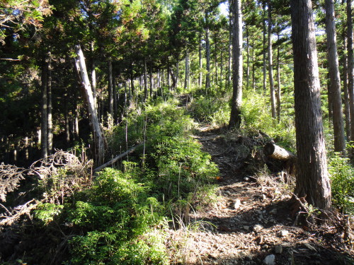 c0179351_20332436.jpg