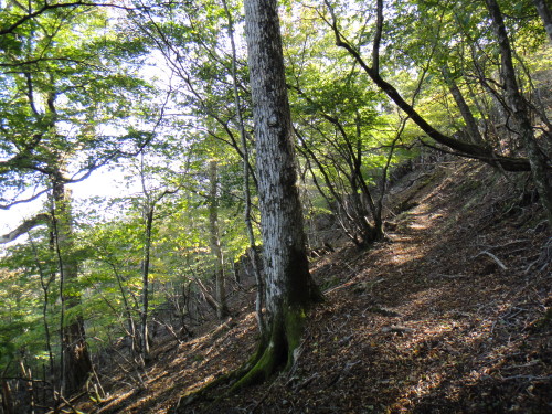 c0179351_20421810.jpg