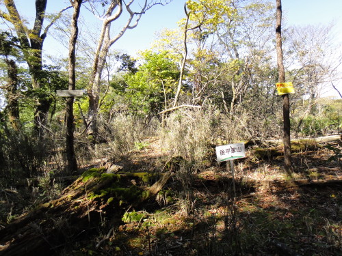 c0179351_2043237.jpg