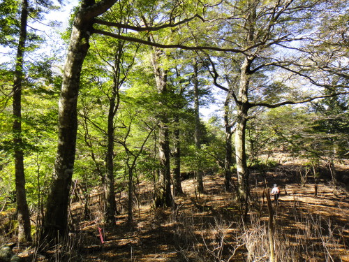 c0179351_20443372.jpg