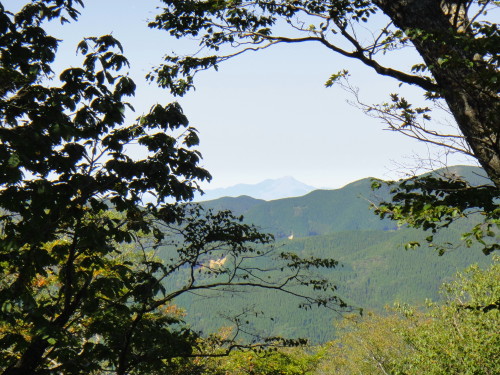 c0179351_2045541.jpg
