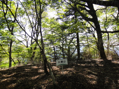 c0179351_20462988.jpg