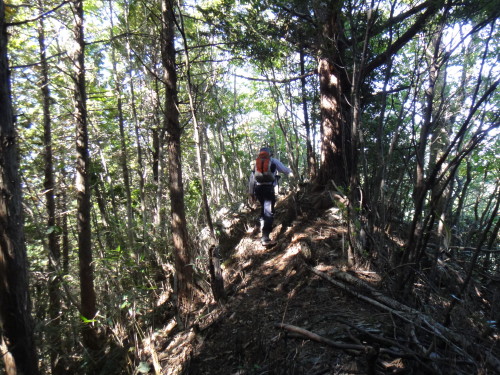 c0179351_2053327.jpg