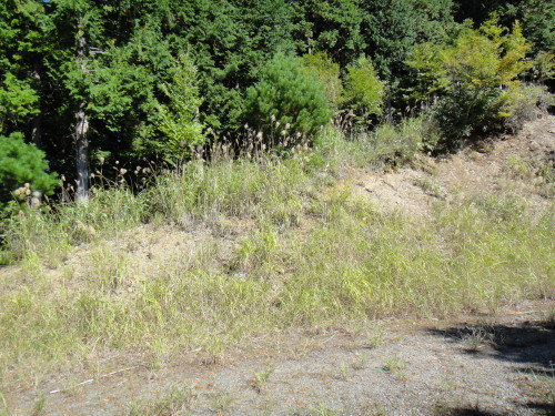 c0179351_20591898.jpg