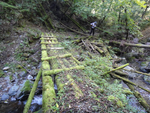 c0179351_2142257.jpg