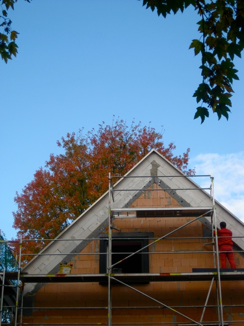 c0194065_1101480.jpg