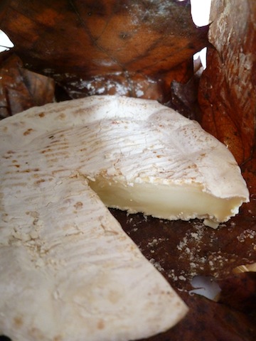 f0241468_2014973.jpg