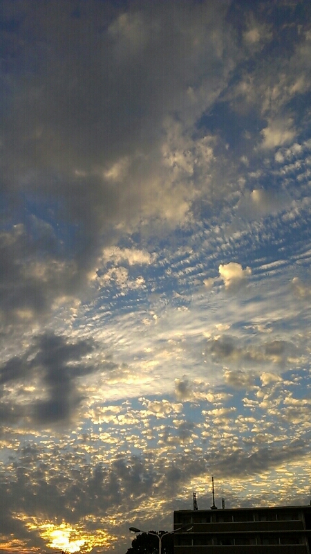 b0305870_134698.jpg