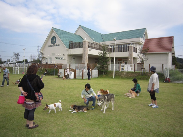 f0100871_22432752.jpg
