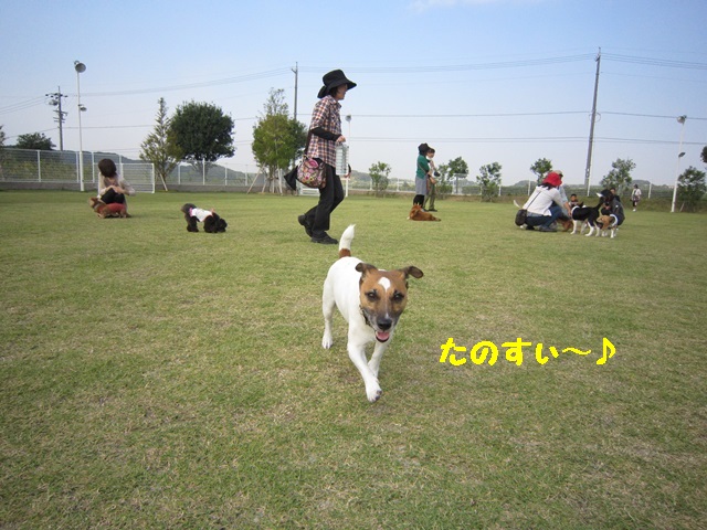 f0100871_22434936.jpg