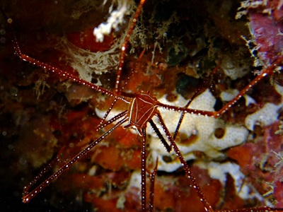 b0033573_21565734.jpg