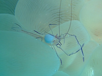 b0033573_21571232.jpg