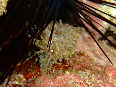 b0033573_2157211.jpg