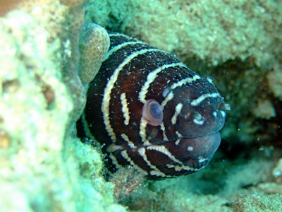 b0033573_21573755.jpg