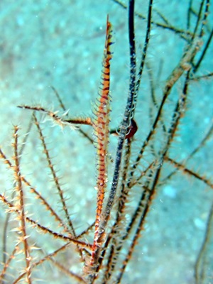 b0033573_22184151.jpg